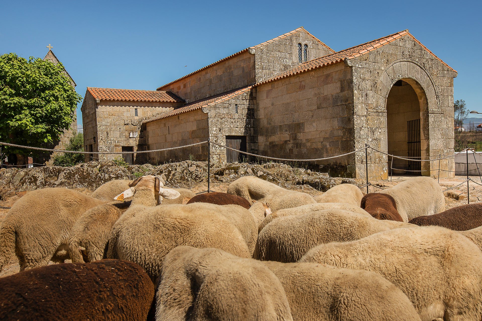 Igreja_Moaarabe_de_So_Pedro_de_Lourosa_Pedro_Ri.original