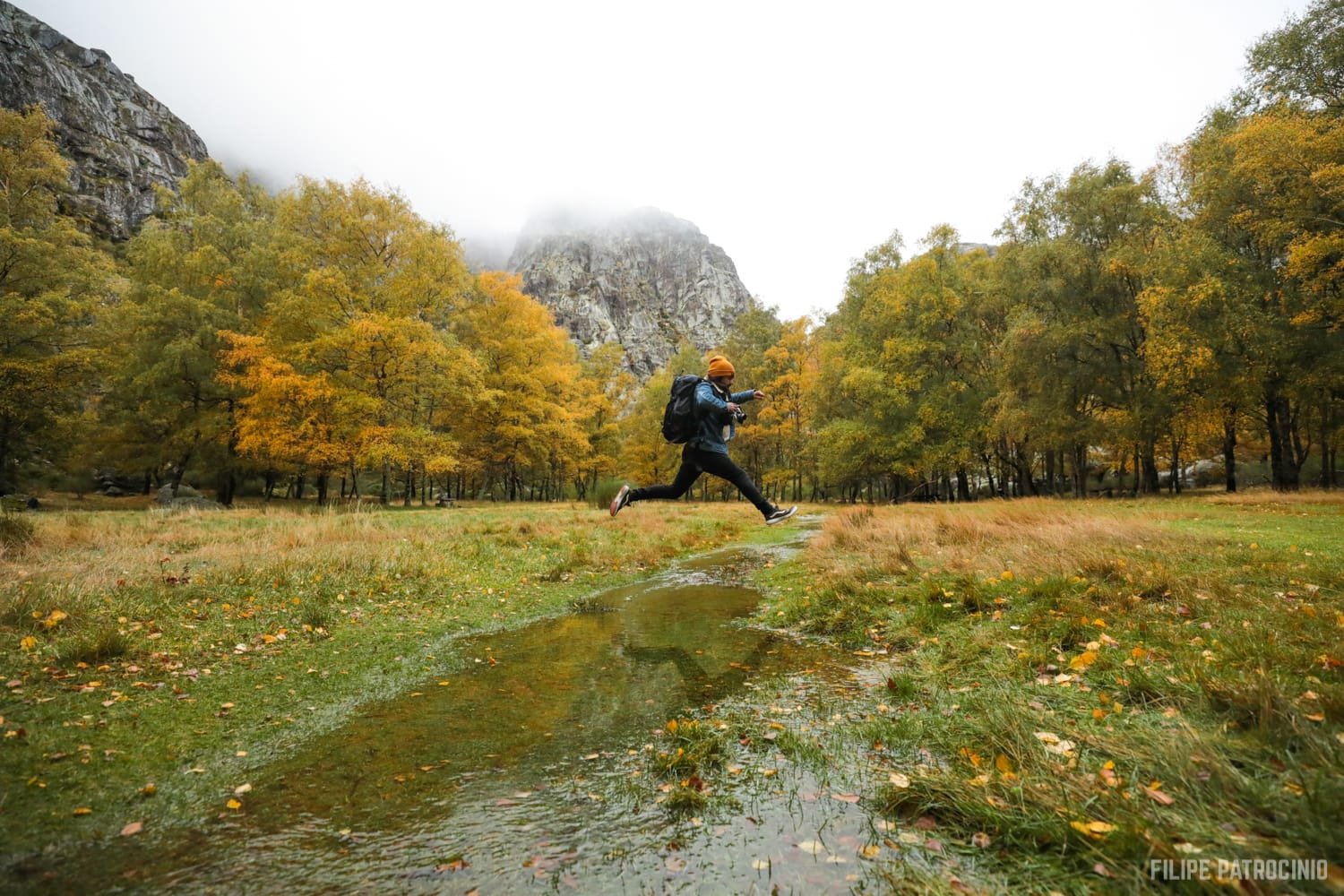 Imagem WhatsApp 2024-10-08 às 11.58.30_248a8e57