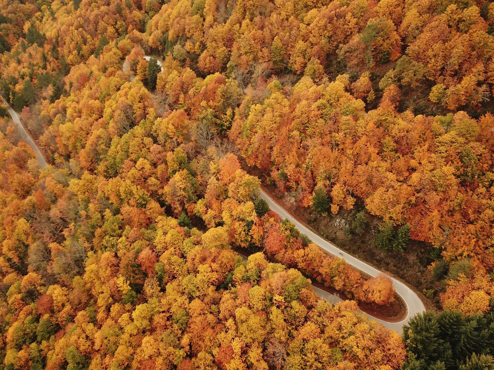 Imagem WhatsApp 2024-10-08 às 11.58.30_925ed825