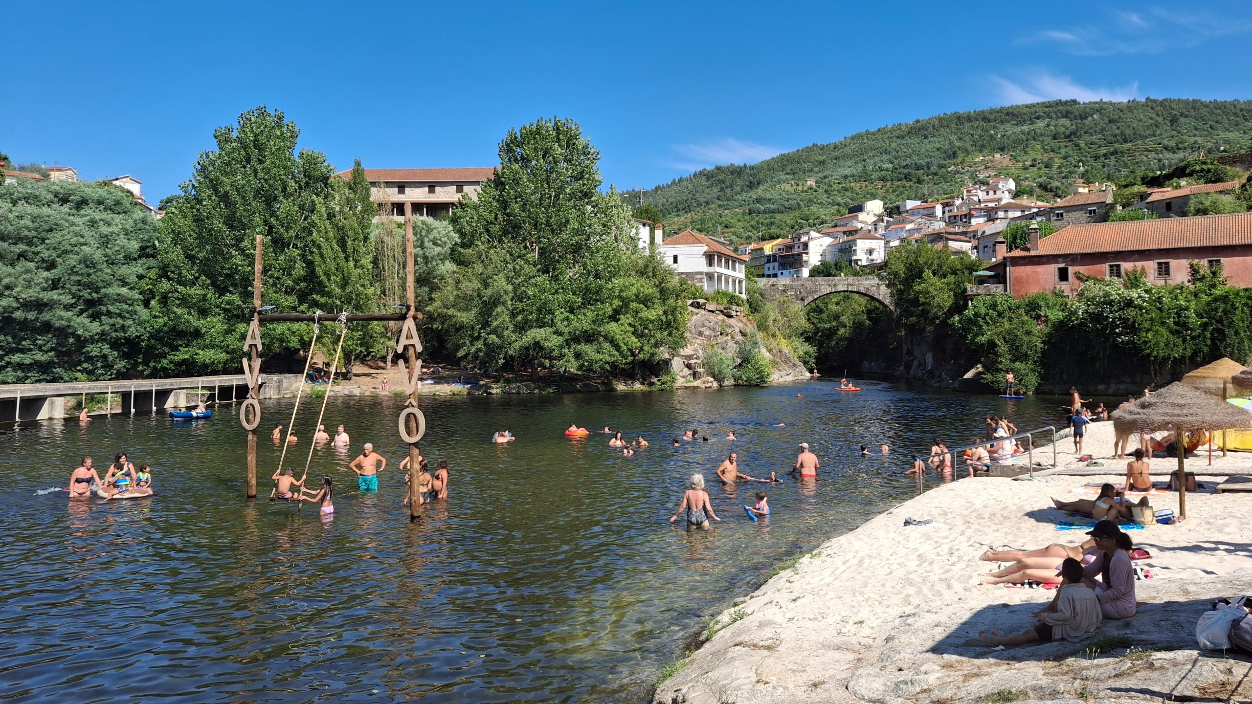 cropped_image-2024-08-08T174834.043